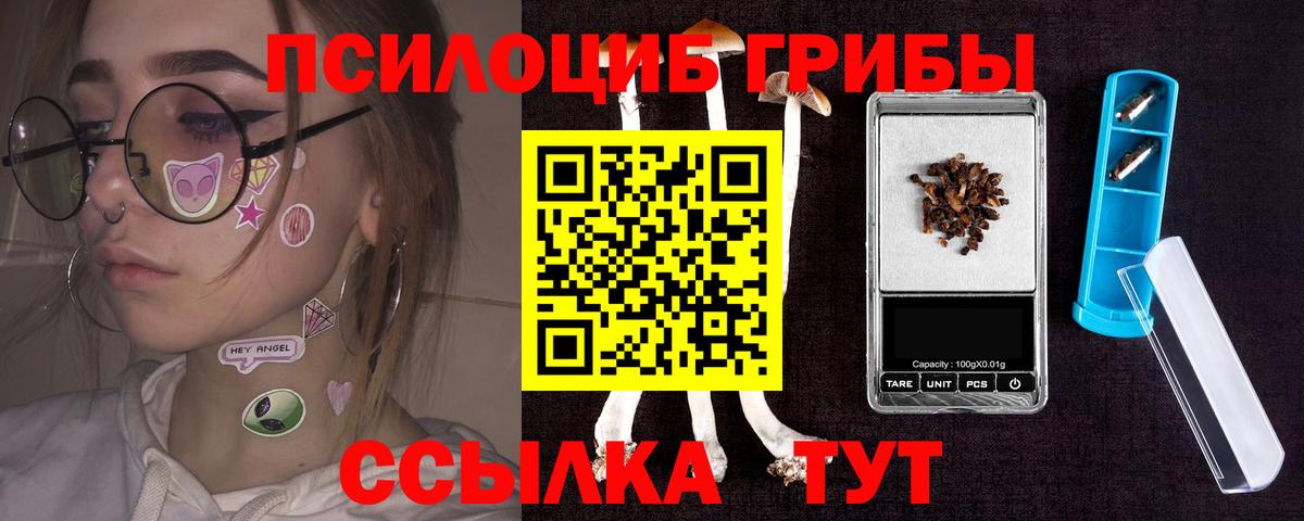 Псилоцибиновые грибы Psilocybe  цена наркотик  Конаково  Вход с VPN 